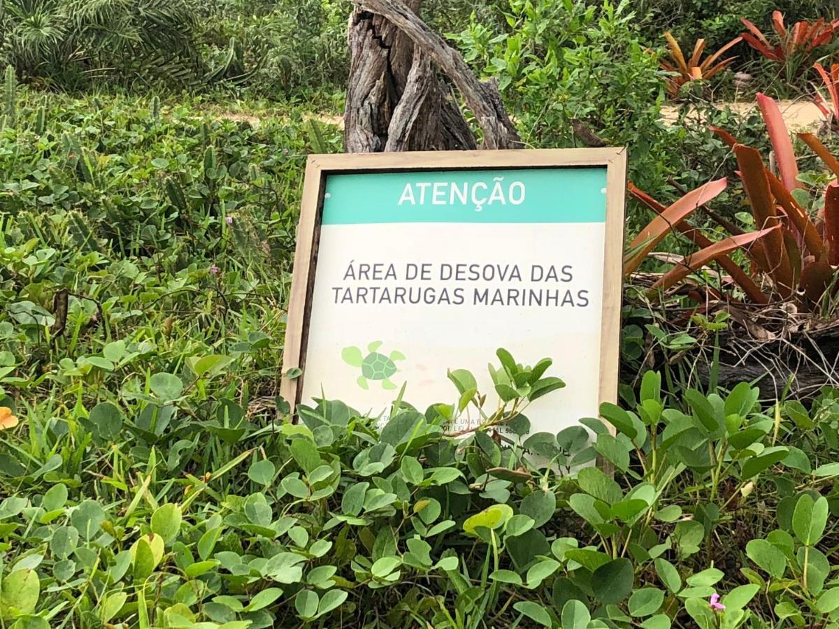 Victor Hugo Pousada Com Natura E L'Occitane Santo André Zewnętrze zdjęcie